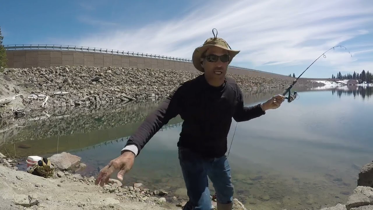 Nice Lahontan Cutthroat Breaks Up a Skunk at Stampede Reservoir