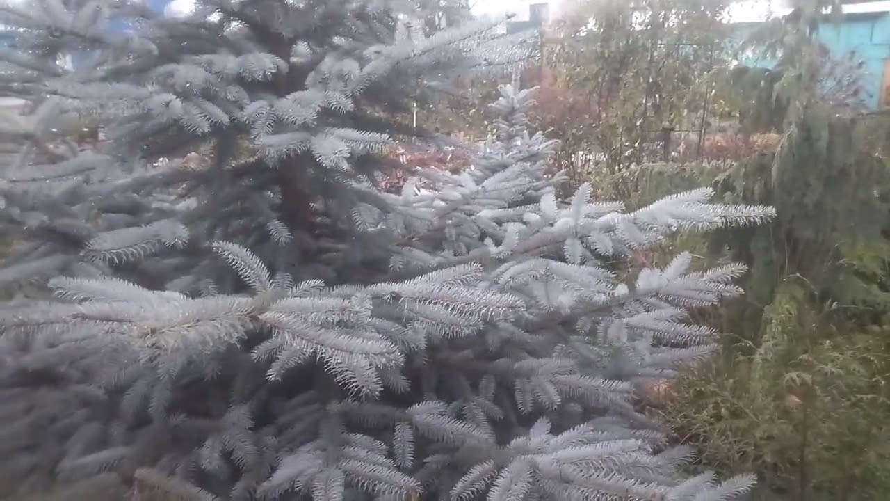 Моё 26.11.25. Отличные новости!😀👍😀