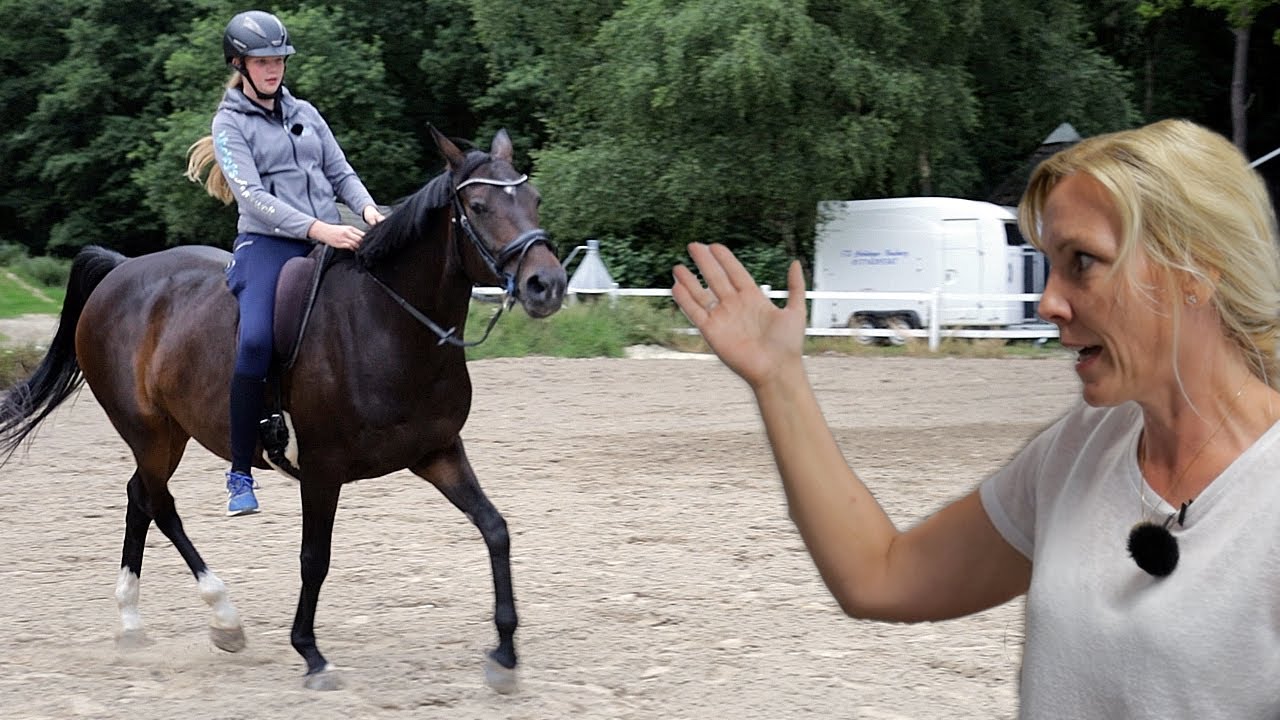 Stute aus Bayern sucht Hilfe im Norden - Cataleya kann unterm Reiter nicht laufen