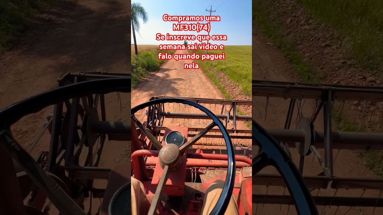 Nossa nova colheitadeira MF310 ano 1974 🙏🙏 
