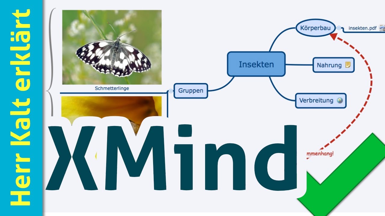 Erste Schritte mit XMind – Anleitung/Tutorial