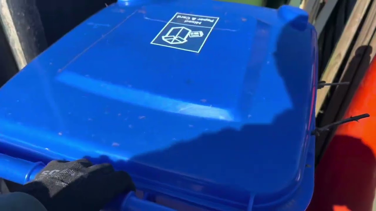 Green and brown bins out & in