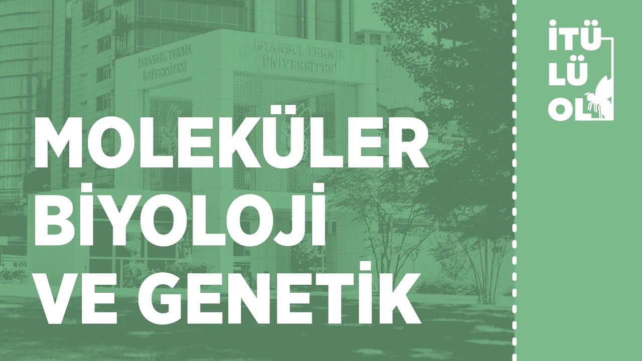 İTÜ Moleküler Biyoloji ve Genetik | Tanıtım Günleri 2022