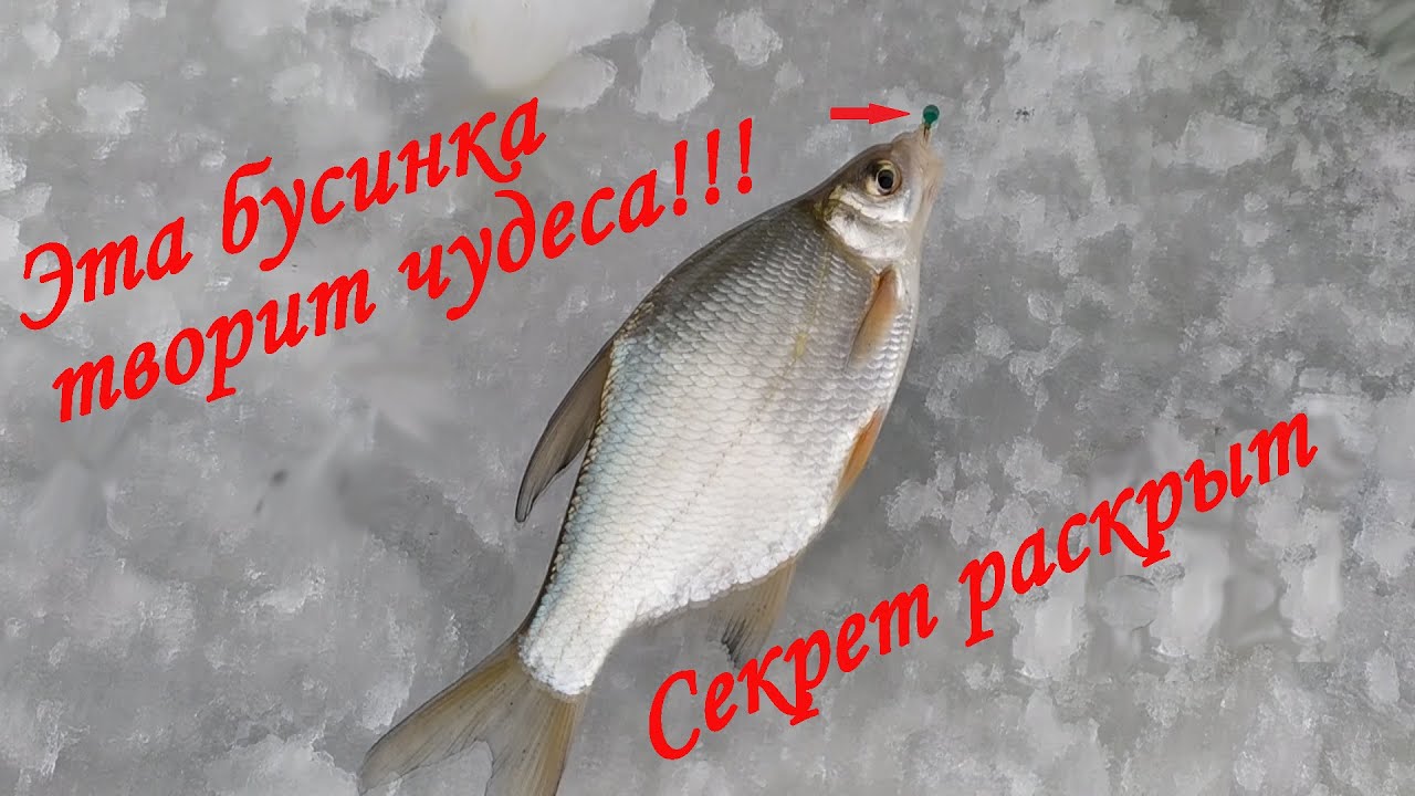 Рыбалка зимой. Уловистая снасть для ловли на течении. Покаток.
