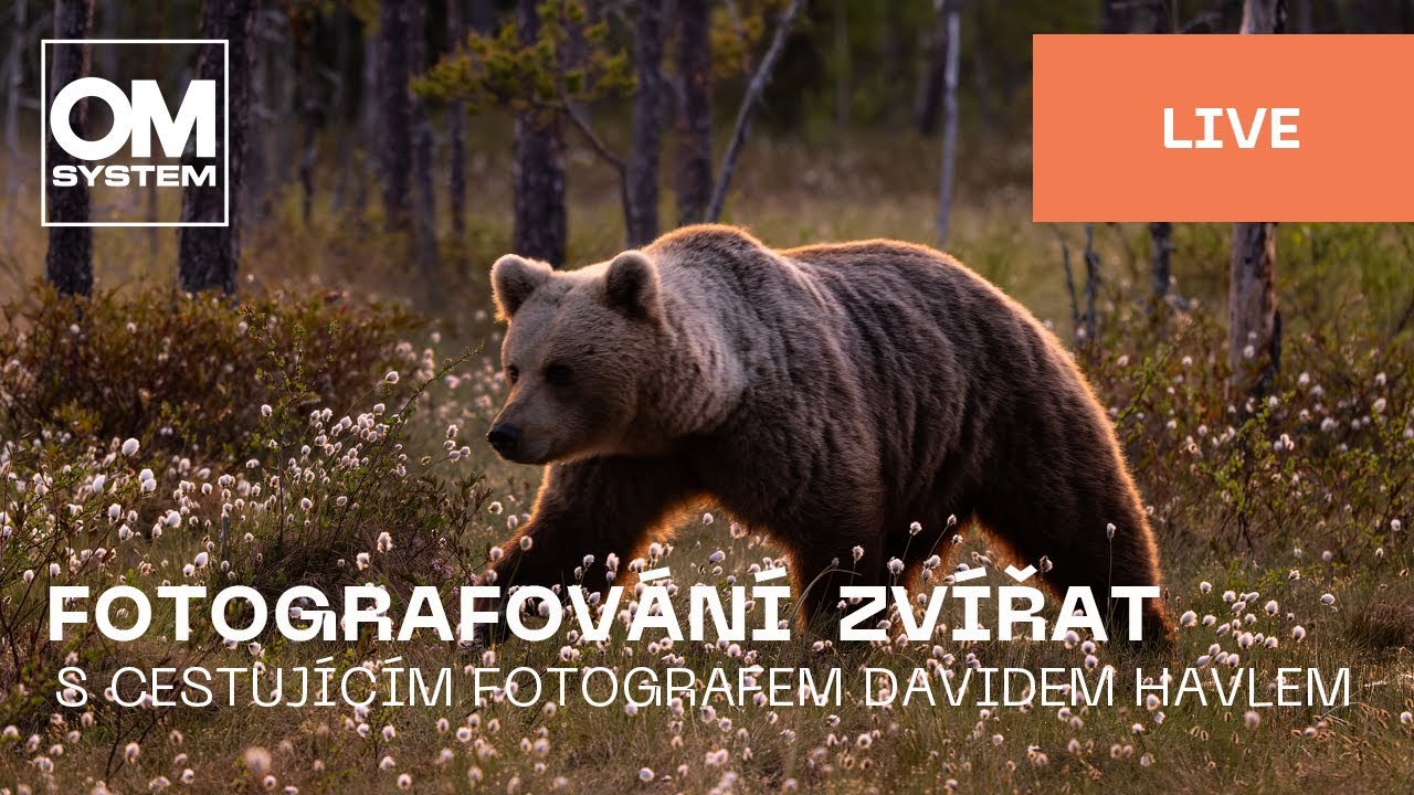 Česky | Fotografování zvířat s cestujícím fotografem Davidem Havlem