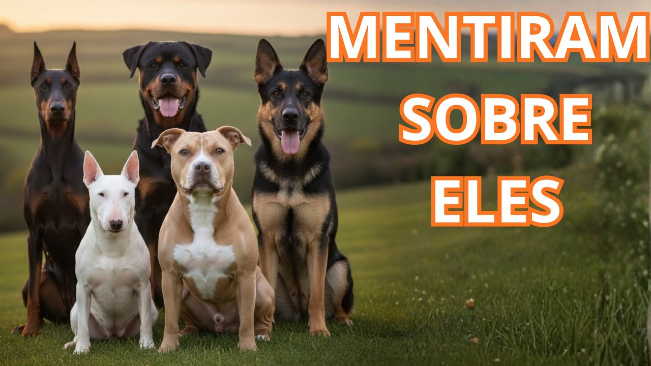 Essas 5 Raças São Julgadas Injustamente… e Não Merecem Isso 😢🐾