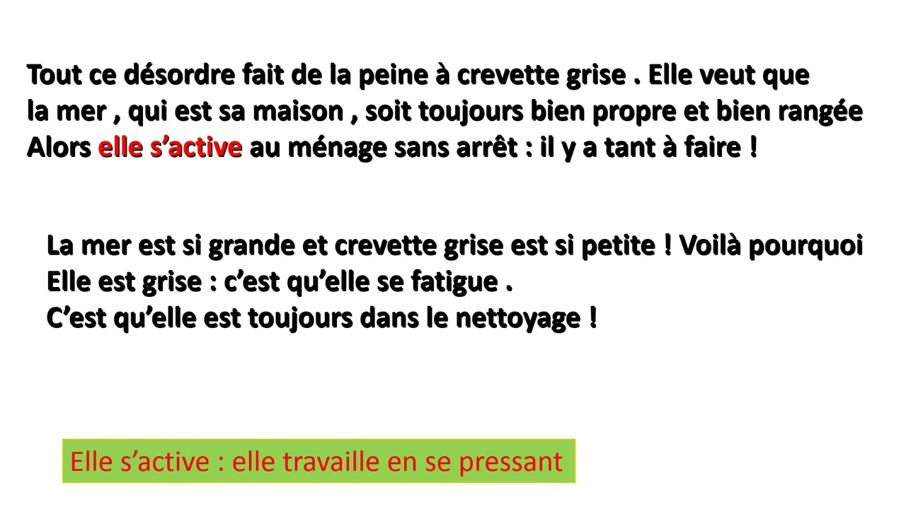 La ménagère de la mer   6ème année de base
