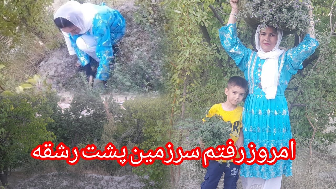 امروز رفتم سرزمین برای گوسفندا علف آوردم ♥♥♥