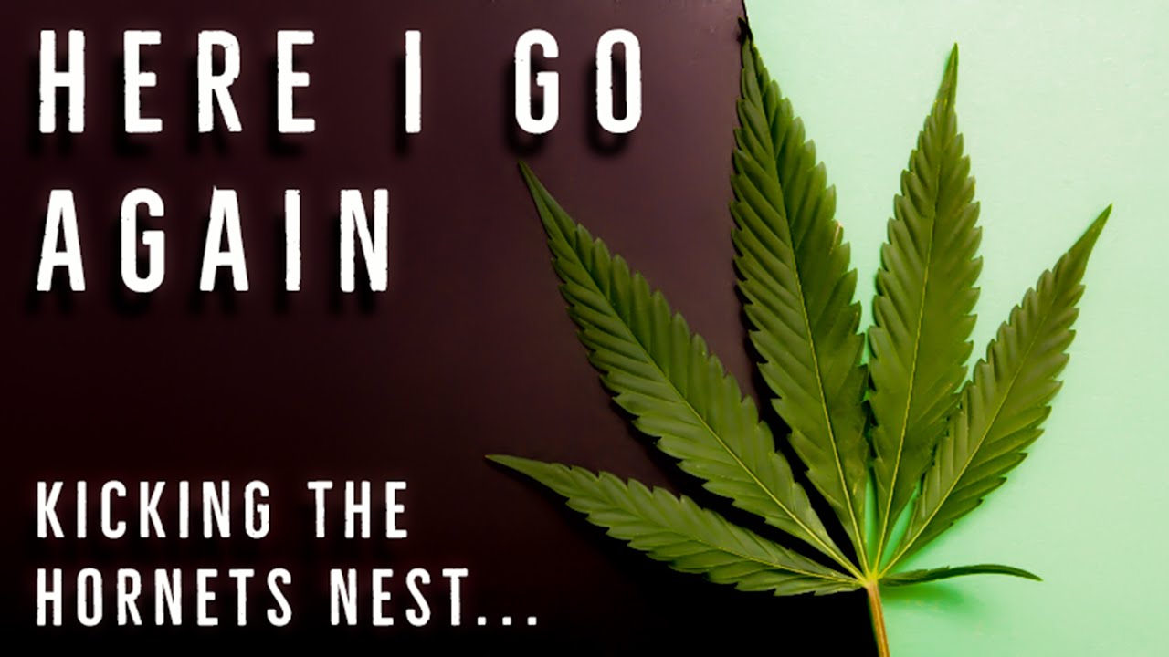The Bi-Annual Cannabis Video