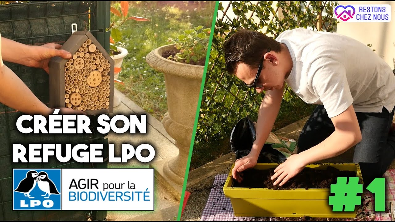 CRÉER SON REFUGE LPO #1 (Partir de 0)