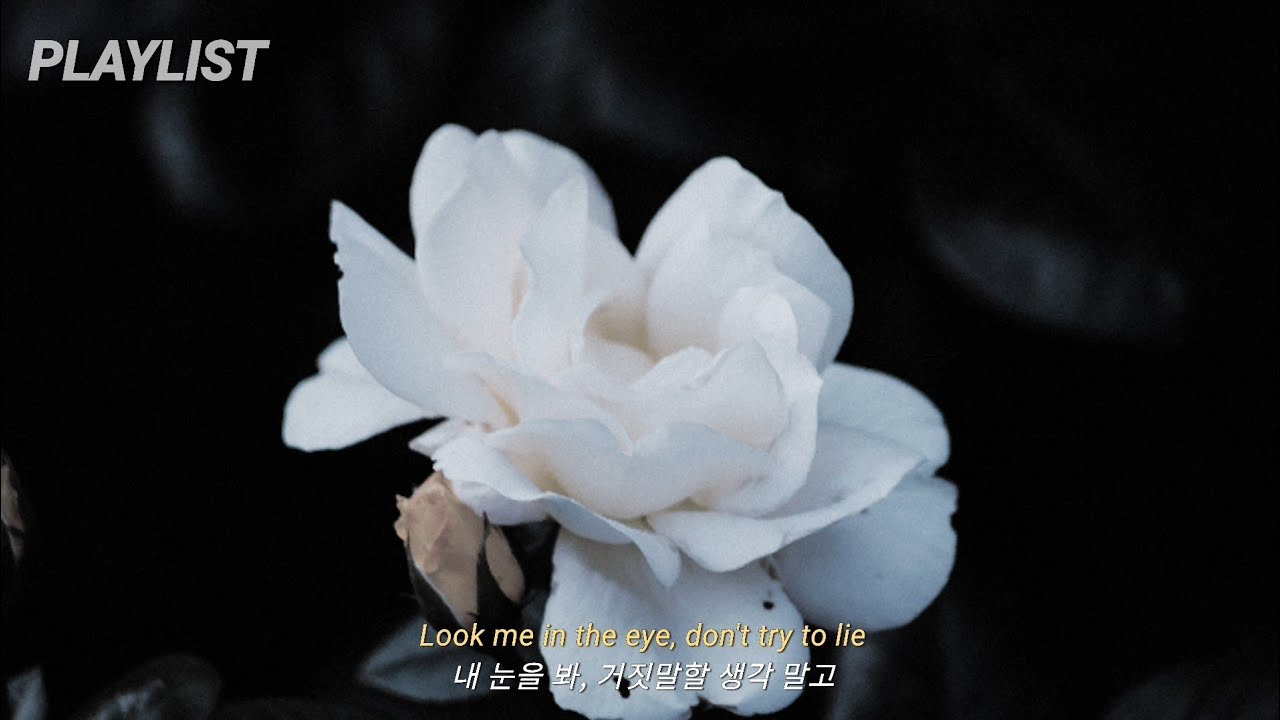 ​[Playlist] 감당 못 할 거면 선 넘지 말았어야지 I 혐관 집착광공 감성 플리