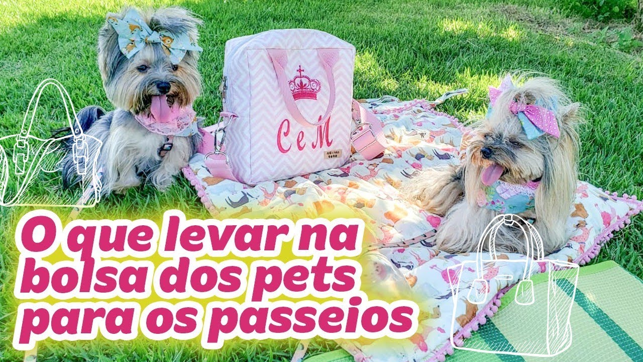 Vai passear com o pet? O que levar nos passeios