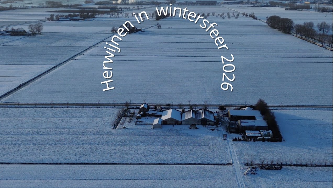 Herwijnen in wintersferen.