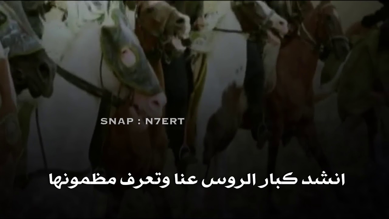 شيلة اققلاعيةة ⚡️- ذخر العضيلات 🔥 - حنا العبادل لاطغا الطاغي محازم ماتبور ⚡️🔥- اداء : علي ال شقير