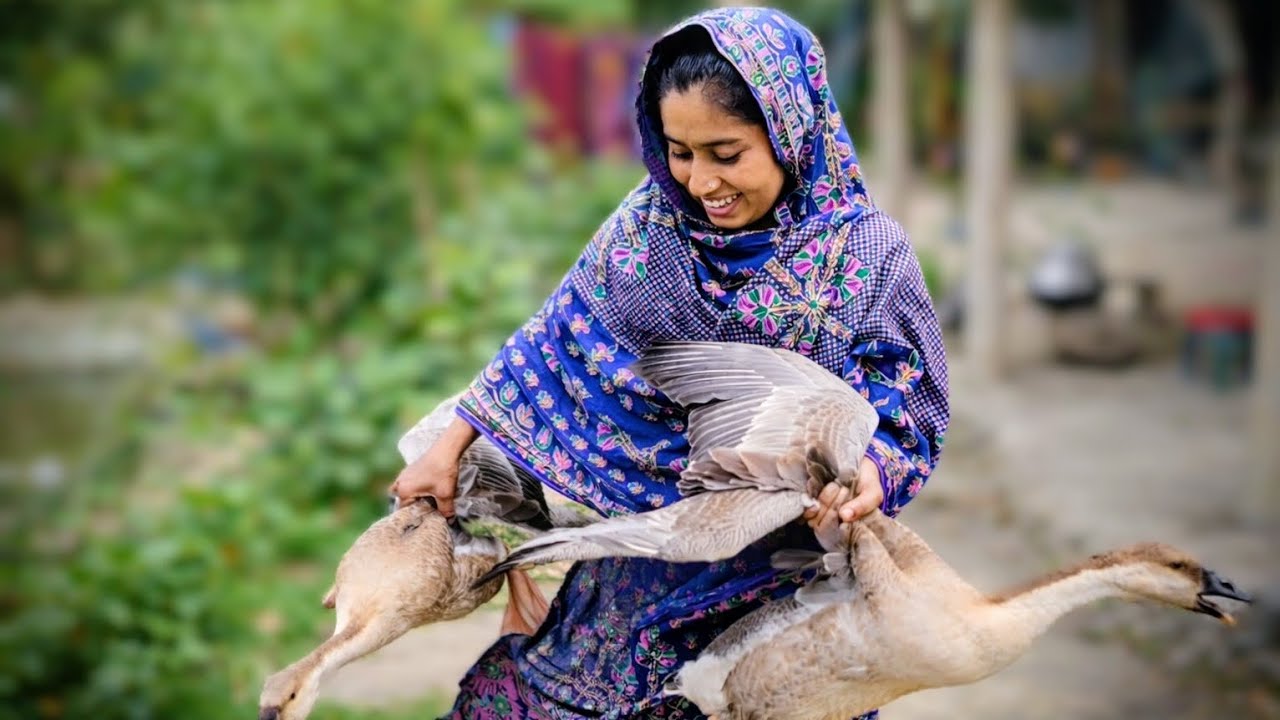 ২ টা রাজহাঁস কত টাকা দিয়ে কিনলাম?