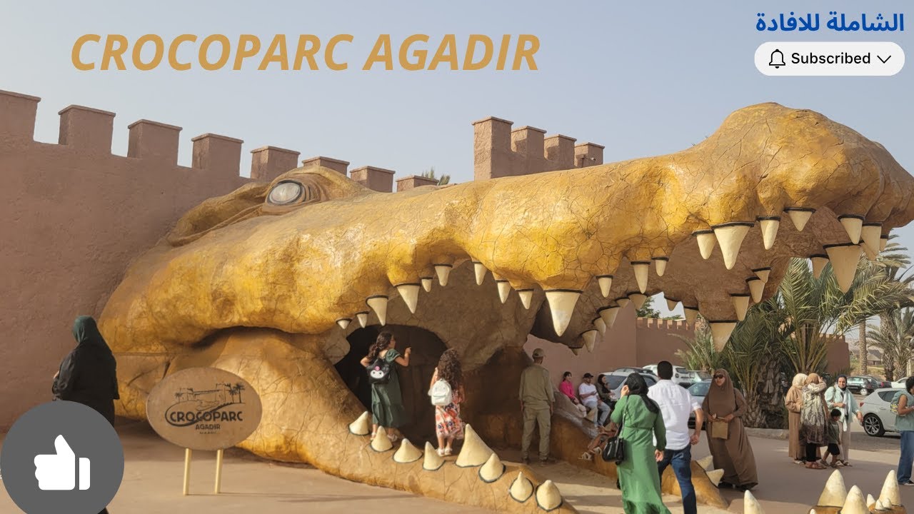 حديقة التماسيح بمدينة أكادير جولة لإستكشاف عالم الزواحف Morocco | 4K | Croco Parc Agadir