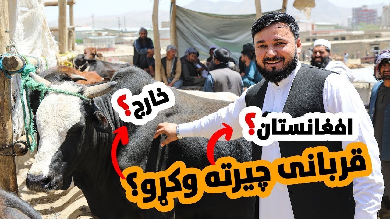 قرباني چیرته وکړو؟ -  Qamar Foundation