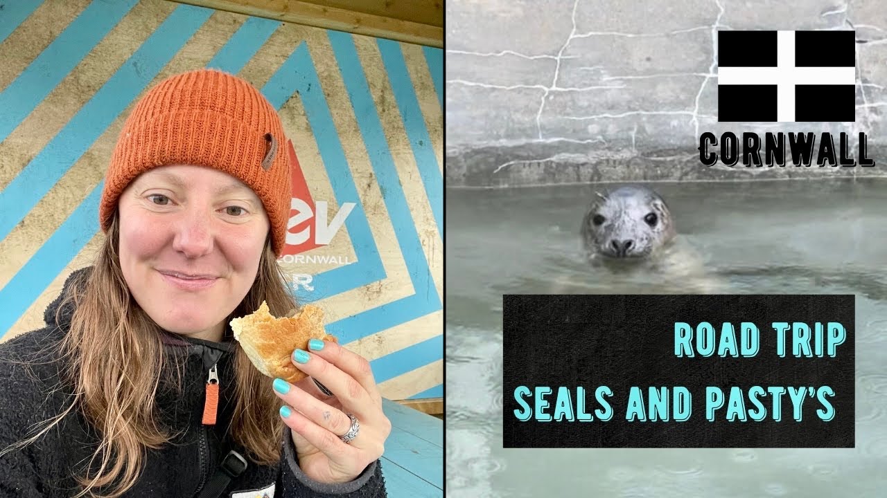 Road Trip || Cornish Seal sanctuary and the best pasty in Cornwall?