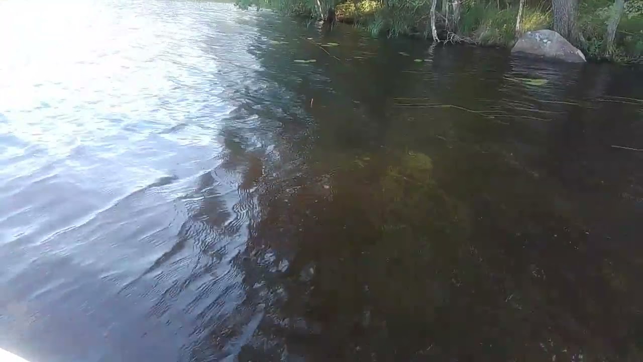 @Ongella 9.7.2025 🇫🇮