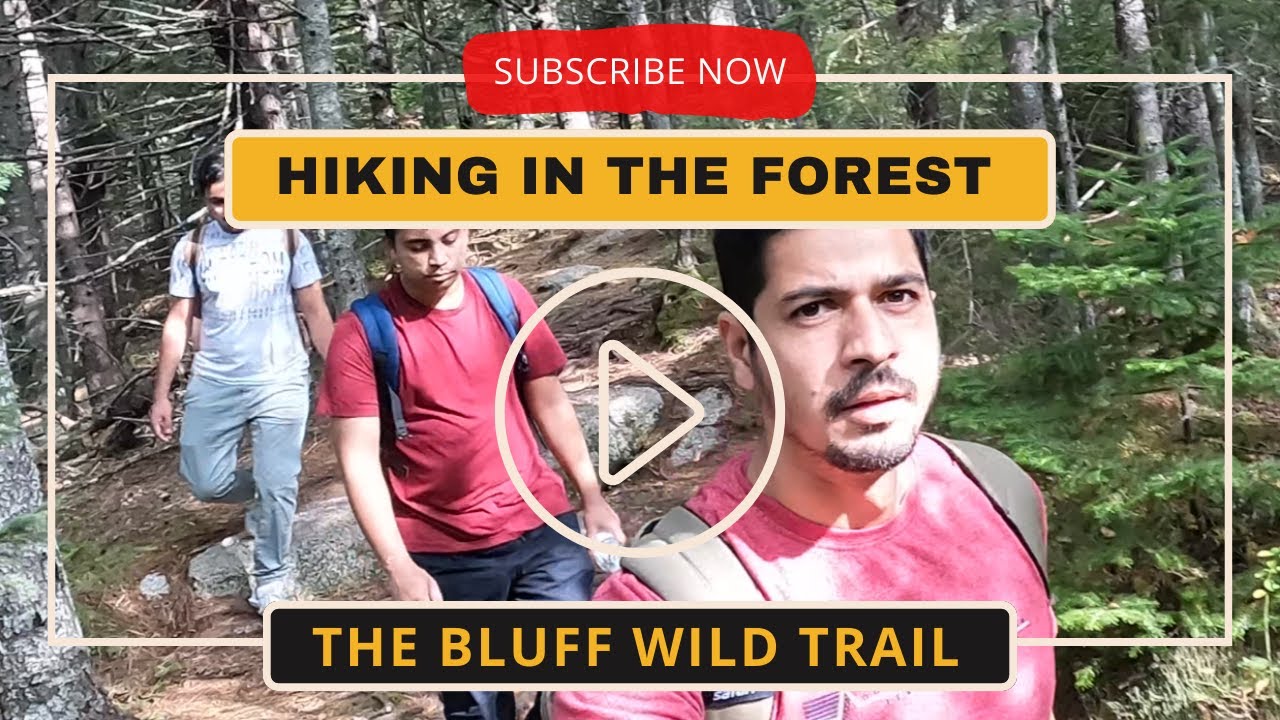 Hiking in The Bluff Wilderness Trail in Halifax, Canada