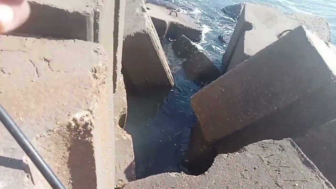 مصيف بلطيم في السمك ما لوش حل