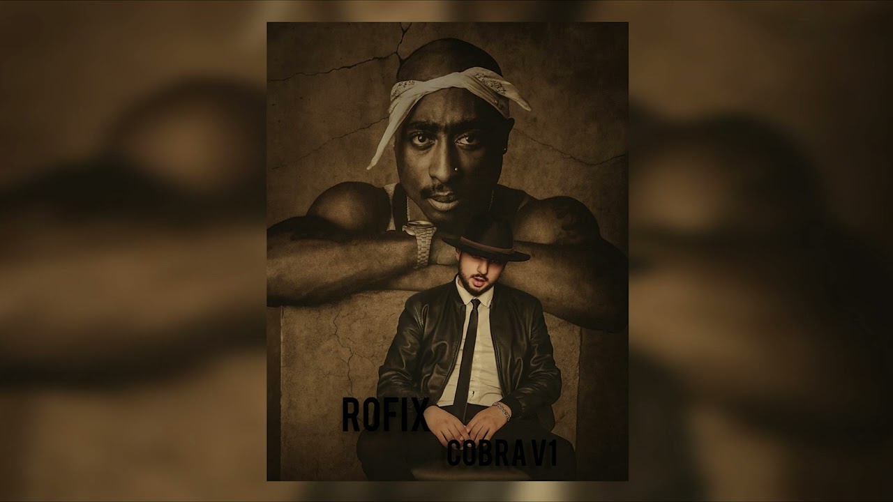 ROFIX - COBRA V1 ( DISSTRACK )