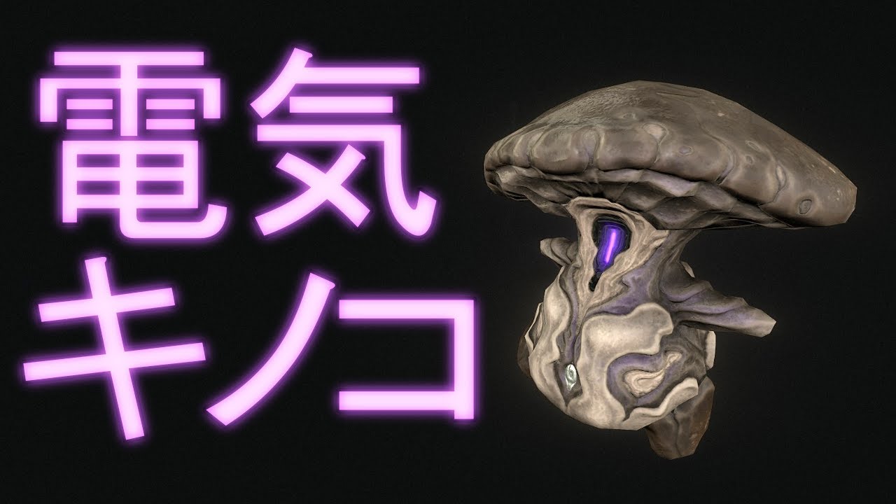 【Warframe】電気ビリビリ⚡Nokkoのビルド紹介!!