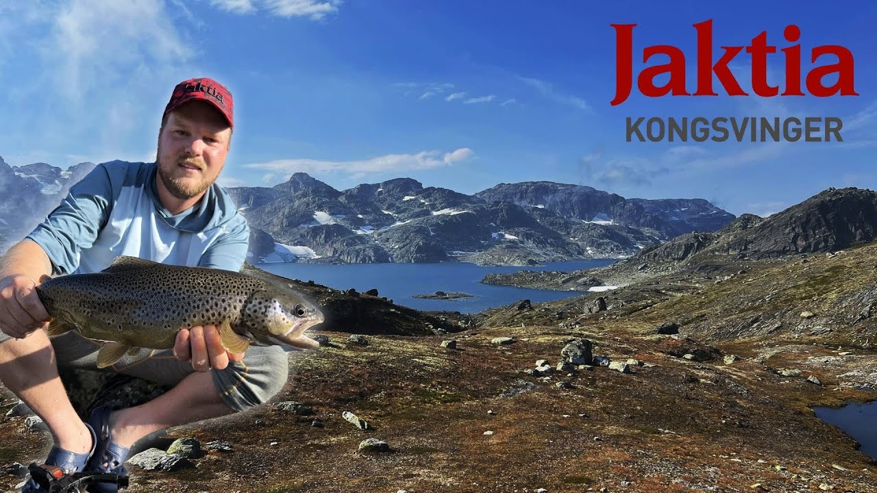 Ørretfiske på høyfjellet!