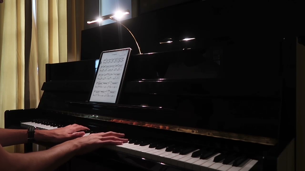 E. Signaler - Damso (Piano Version)