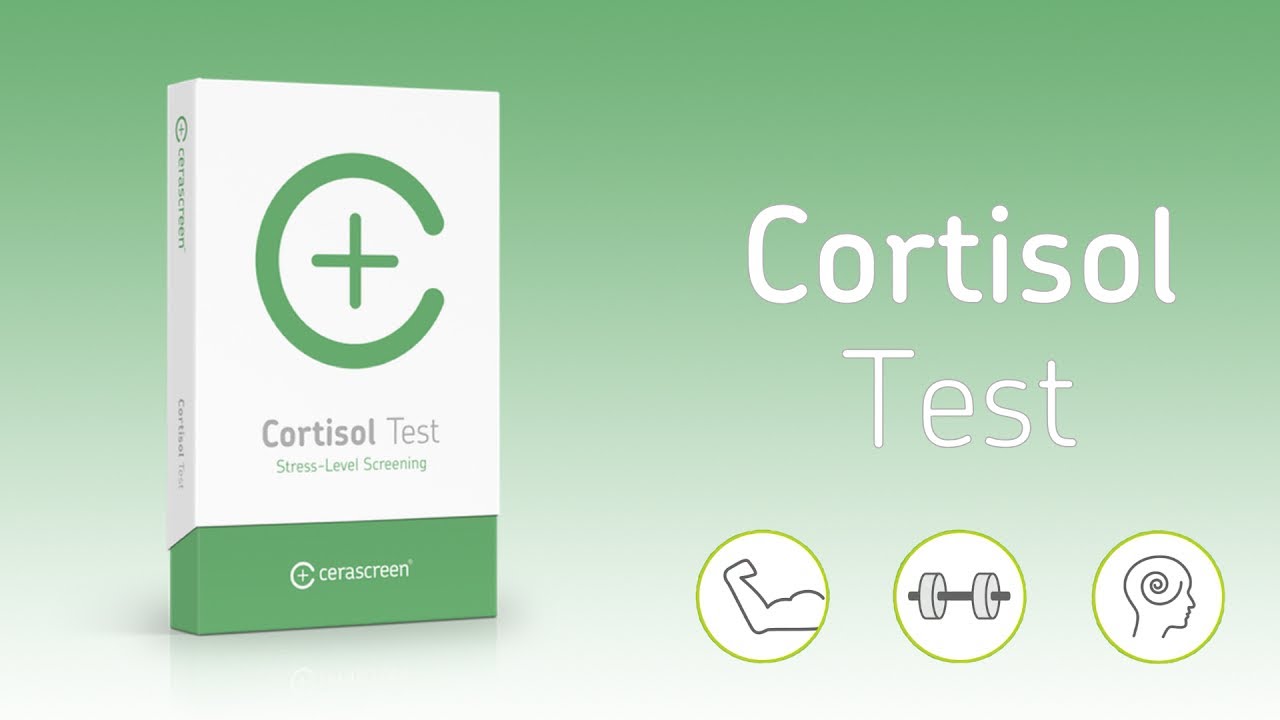 Der Cortisol Test