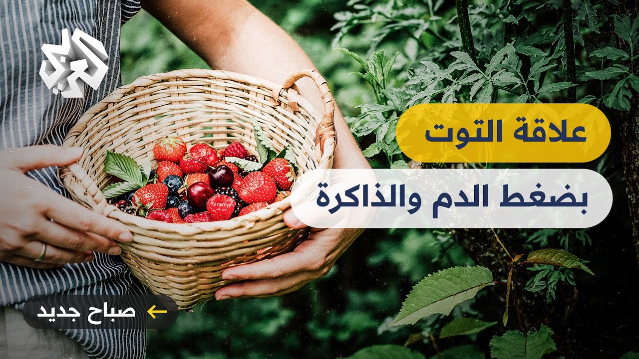 كيف يؤثر التوت والفراولة على الذاكرة وضغط الدم؟
