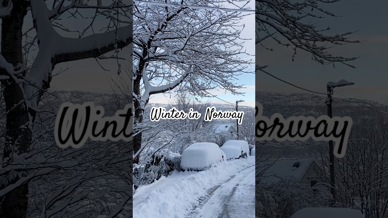 Life is better in the snow #shorts #bergen #norway #snowfall #norge #visitbergen #scandinavia