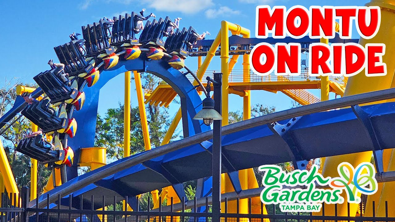Ride Montu Inverted Coaster | Egypt Area at Busch Gardens Tampa Bay (Jan 2026) [4K]