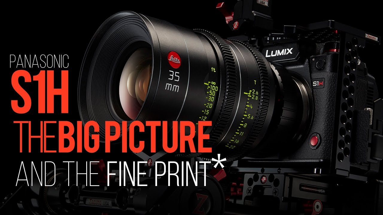 S1H: The BIG PICTURE and the fine print - Camera Preview