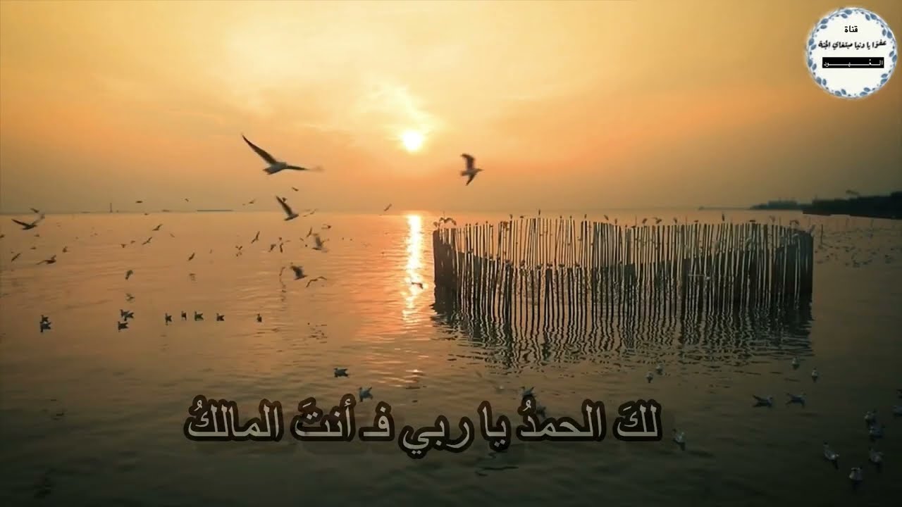 |لك الحمدُ يا ربي فأنت المالكُ|🧡عبدالله المهداوي رحمه الله #كلمات#مونتاجي
