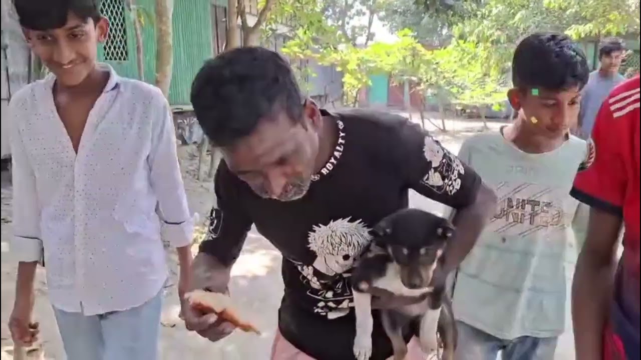 মামা ভাইগনার বিয়ে 🤣🤣হাসিব / নিগ্রো মনির /পরিচালোনায় ফারুক  