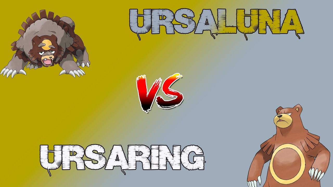 URSARING VS URSALUNA | ANALISIS Y ESTRATEGIAS | MEJORES MOVESET | POKEMON COMPETITIVO