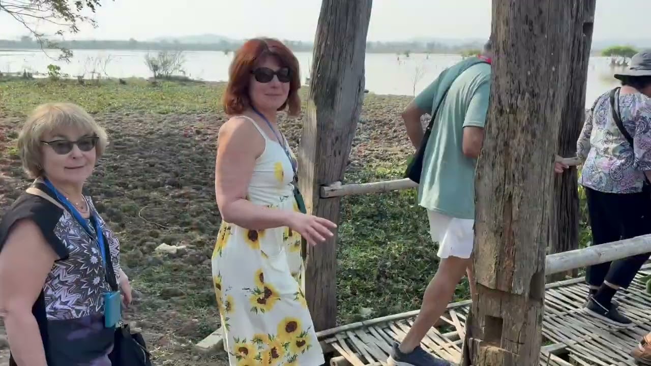 Buffalo Village. Водоплавающие буйволы 