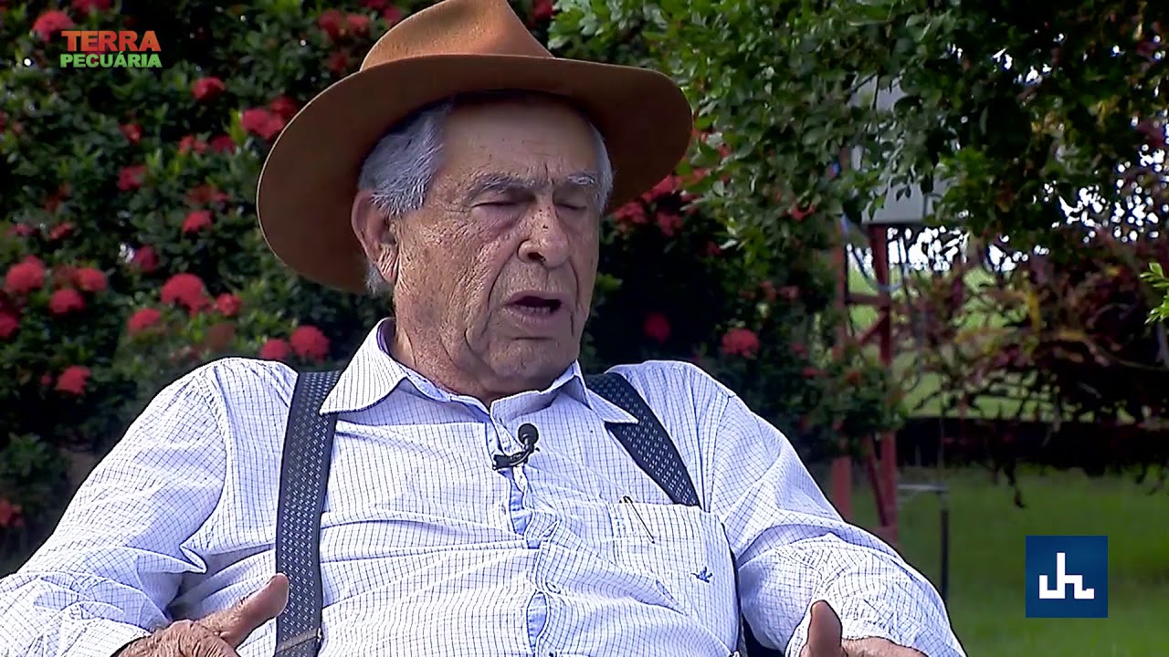 TERRA PECUÁRIA - FAZ. CAMPARINO NO 2º LEILÃO TERRA BRAVA GENÉTICA ADITIVA
