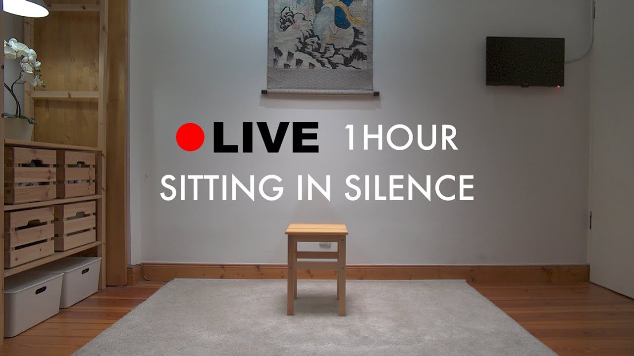 1h Live Practicing Silence | No. 356 | Background Noise | No Music