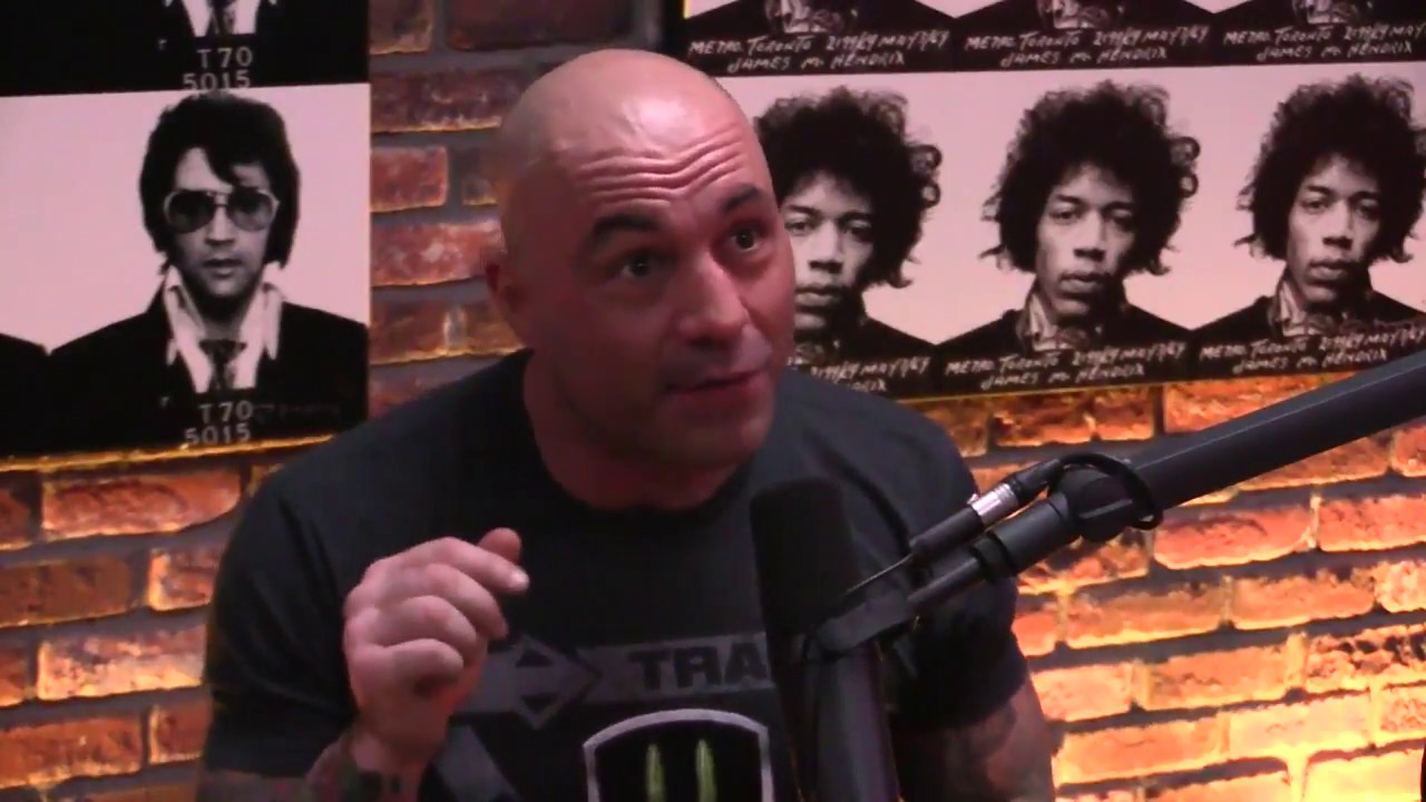 Joe Rogan and Gavin McInnes discuss the Milo Yiannopoulos Pedophilia Controversy