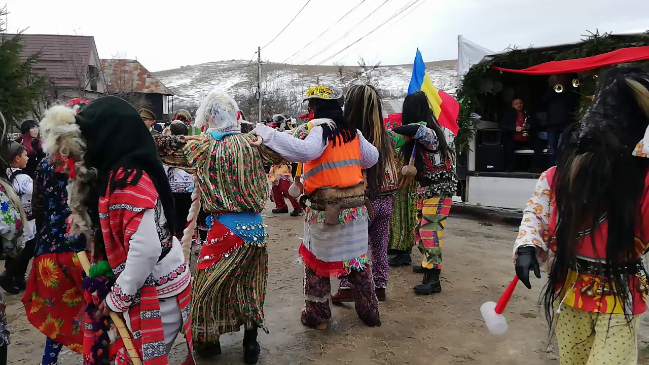 Capra de la Stănești 2019 - 2020