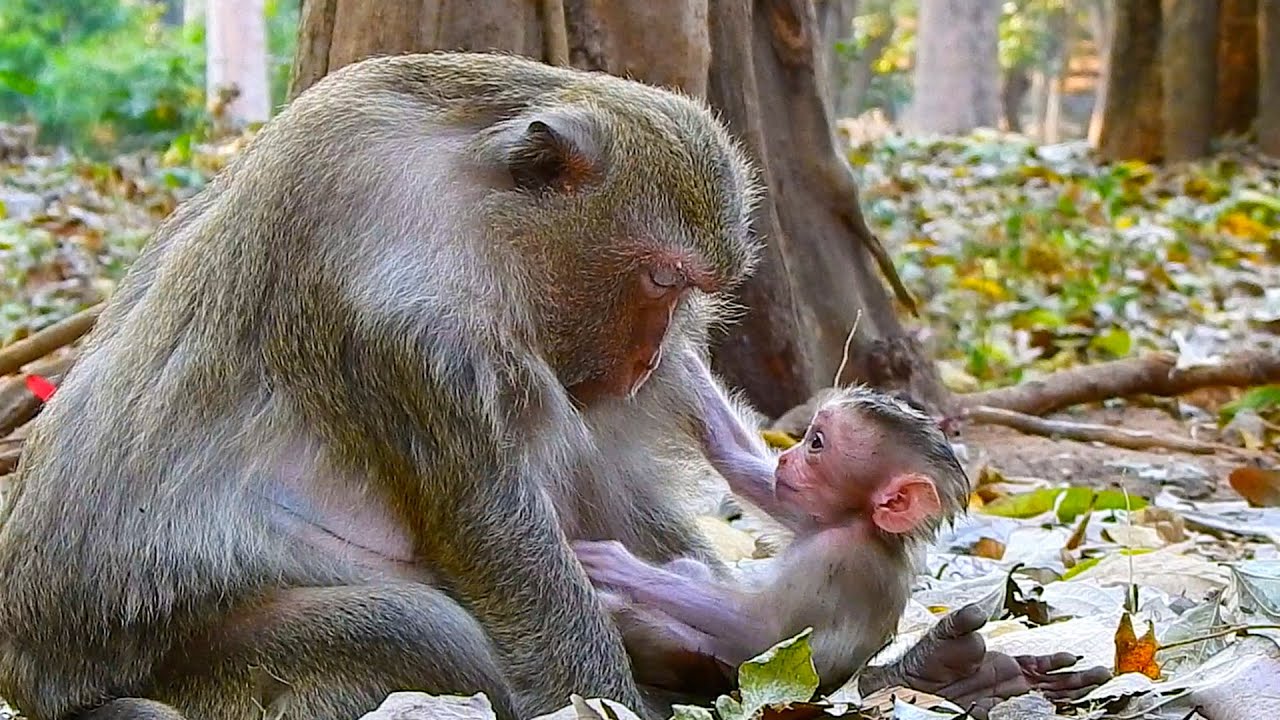 The little child is looking at his mom exhausted and is closing her eyes to rest