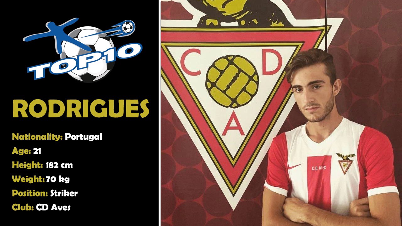 Rodrigues - Desp. Aves