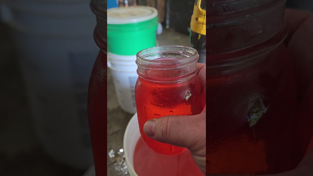 How to Make the BEST Watermelon Moonshine 🍉 (Easy Recipe)