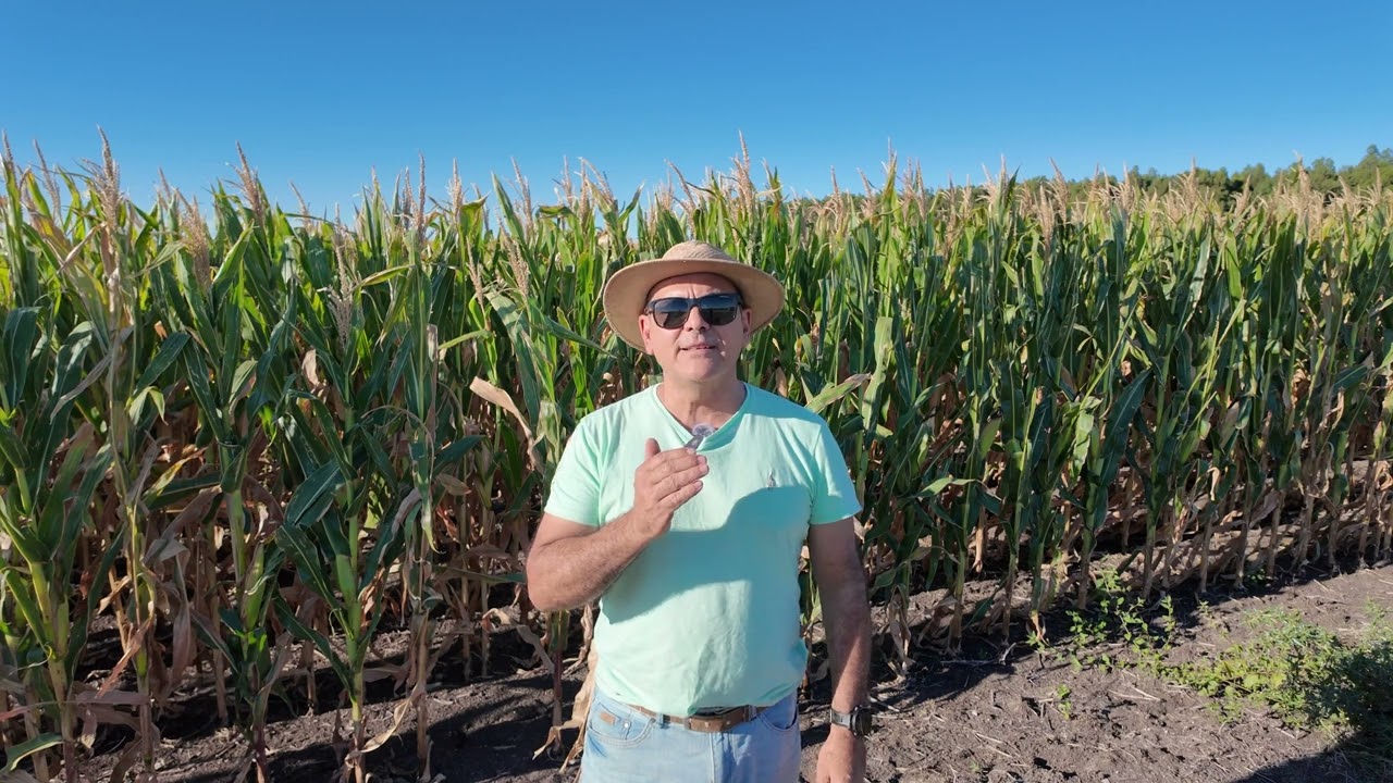 Diplomacia a 40 grados entre Mercosur y UE en medio de semana complicada para los precios agrícolas