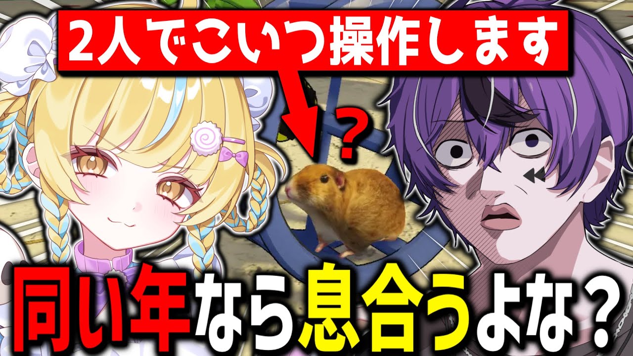 【喧嘩】同い年の2人なら息ぴったりすぎて協力ゲーなんて余裕説【Hamsteria】【はるー/かっぱらーめん】