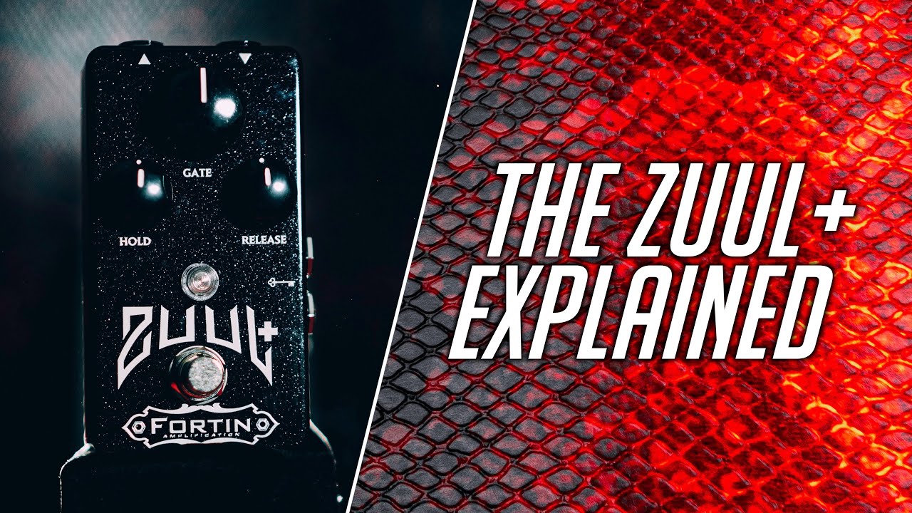 Объяснение шумоподавителя Zuul+