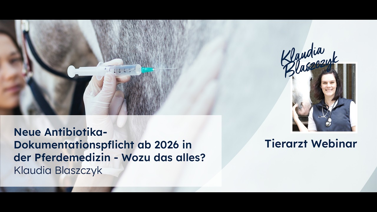 Neue Antibiotika-Dokumentationspflicht ab 2026 in der Pferdemedizin - Klaudia Blaszczyk
