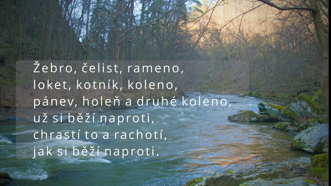Divn&eacute; to věci dnes